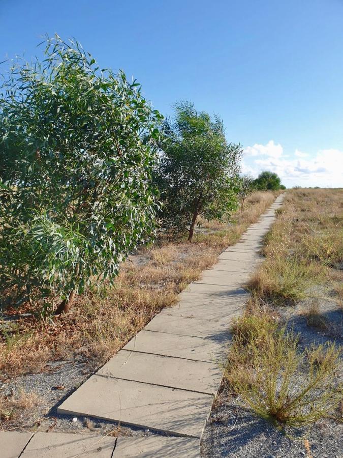 ファレルナ Vista Mare Su Tre Piani Con Giardinoヴィラ エクステリア 写真